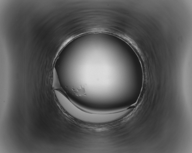 X0000086321097200704202017