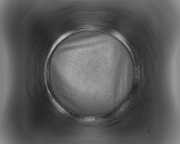 X0000086321098200704202017