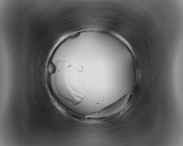 X0000086321099200704202017