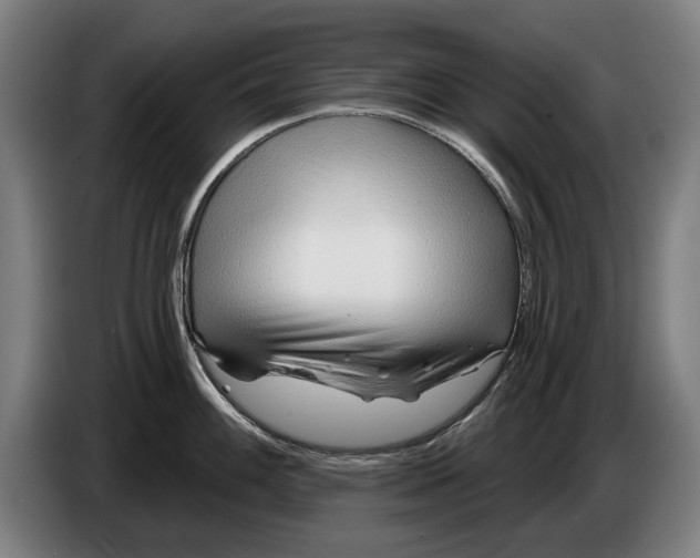 X0000086321100200704202017