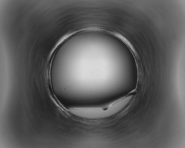 X0000086321101200704202017