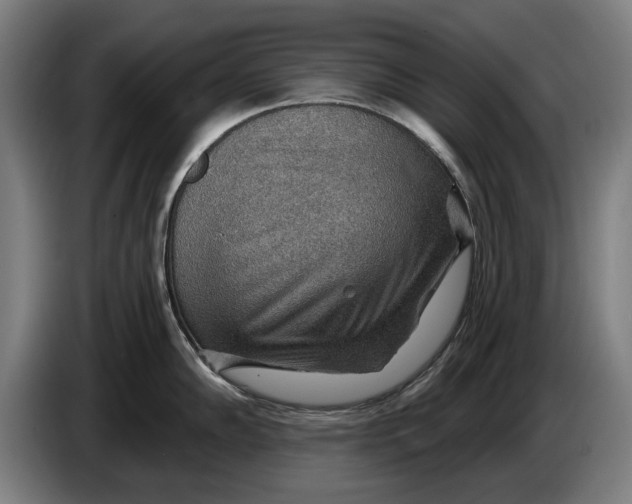 X0000086321102200704202017