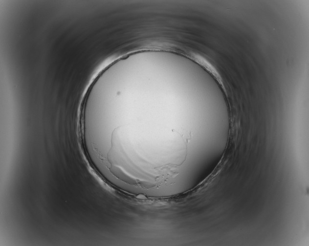 X0000086321103200704202017