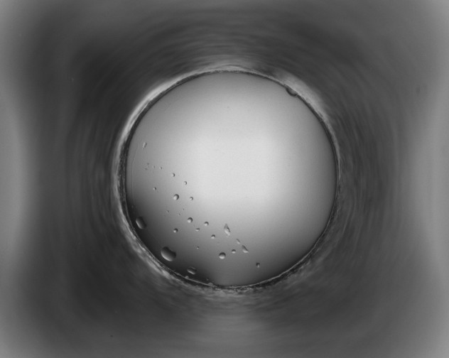 X0000086321104200704202017