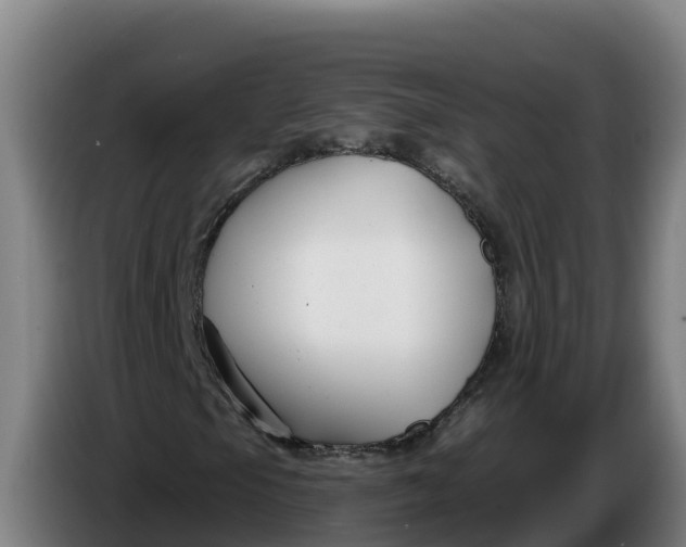 X0000086321105200704202016