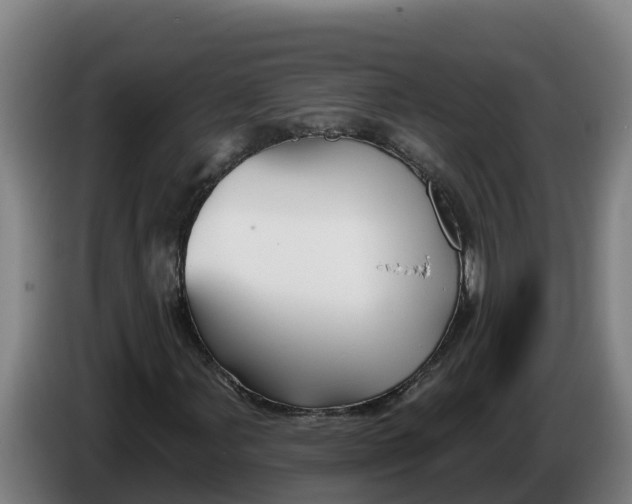 X0000086321107200704202016