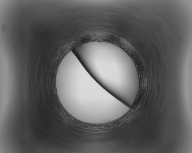 X0000086321108200704202016