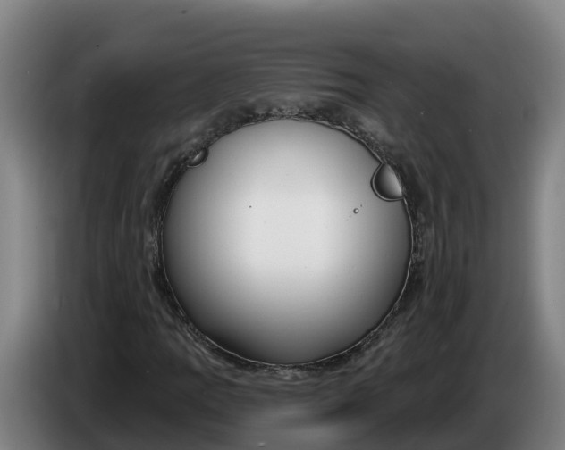 X0000086321109200704202016