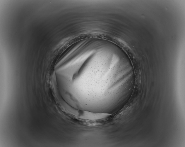 X0000086321110200704202016