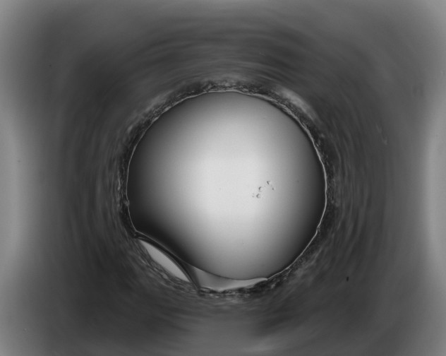 X0000086321111200704202016