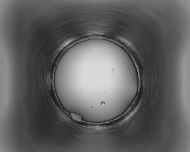 X0000086321113200704202016