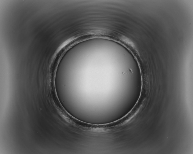 X0000086321114200704202016