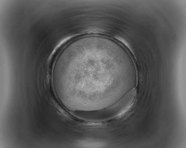 X0000086321115200704202016