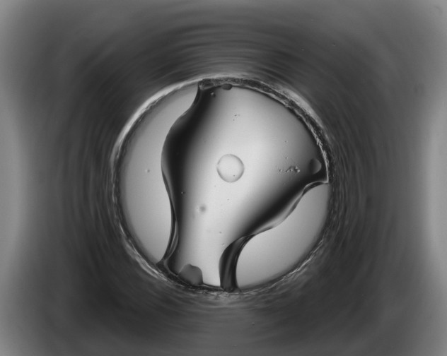 X0000086321116200704202016