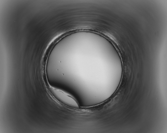 X0000086321119200704202016