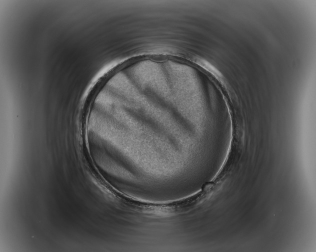 X0000086321120200704202016