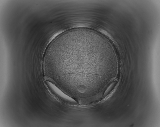 X0000086321121200704202016