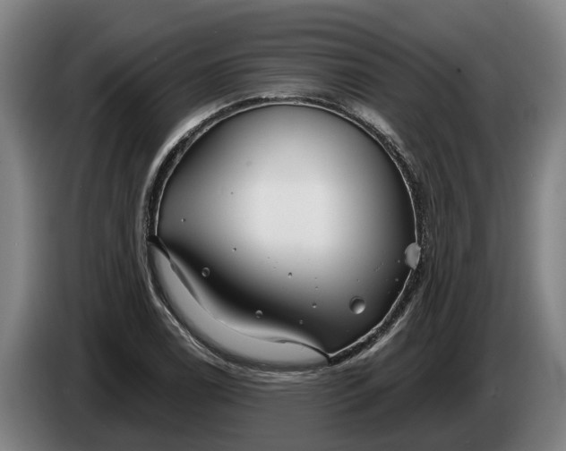 X0000086321122200704202016