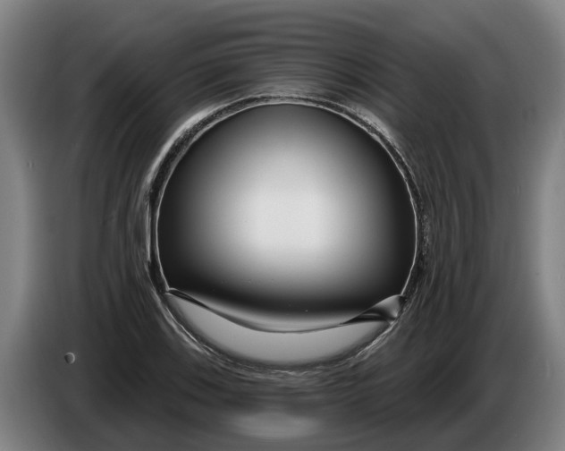 X0000086321123200704202016