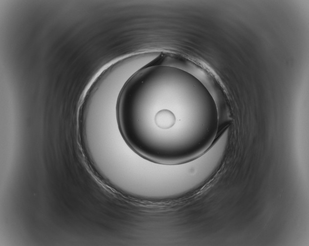 X0000086321124200704202016