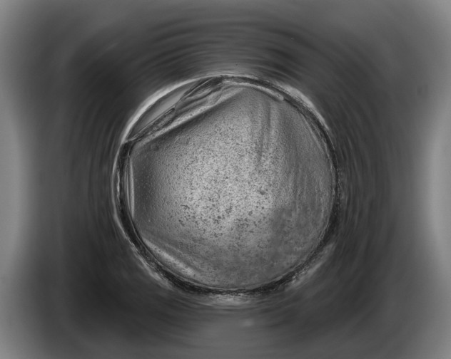 X0000086321125200704202016