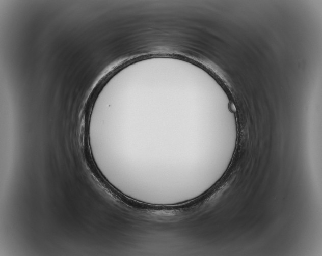 X0000086321126200704202016