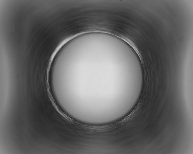 X0000086321128200704202017