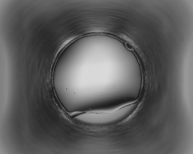 X0000086321129200704202017