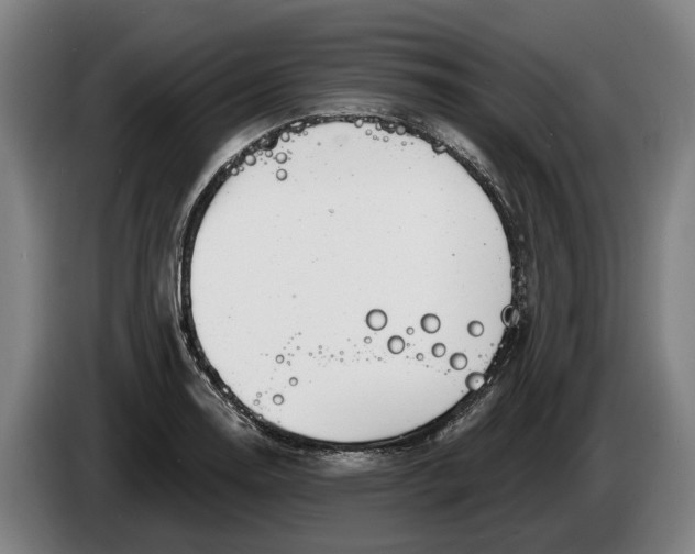 X0000086321130200704202017