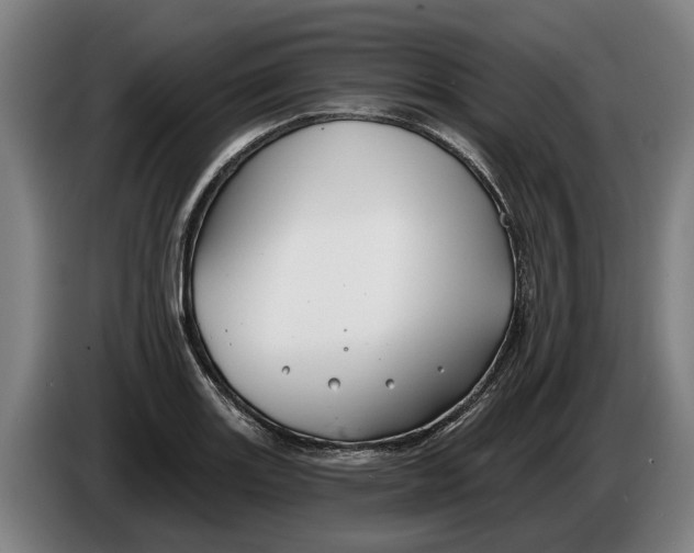 X0000086321131200704202017