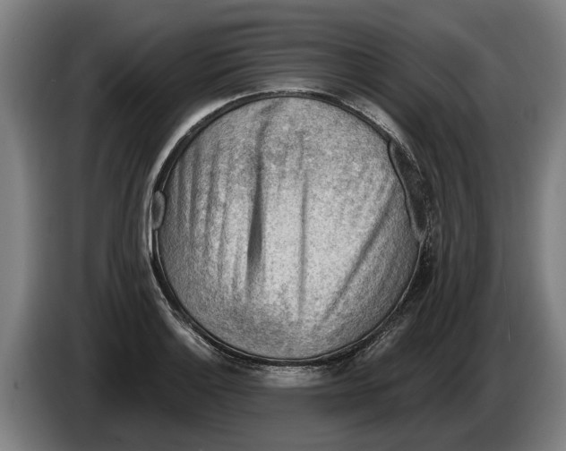 X0000086321132200704202017