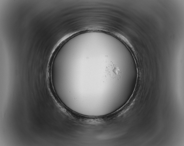 X0000086321133200704202017