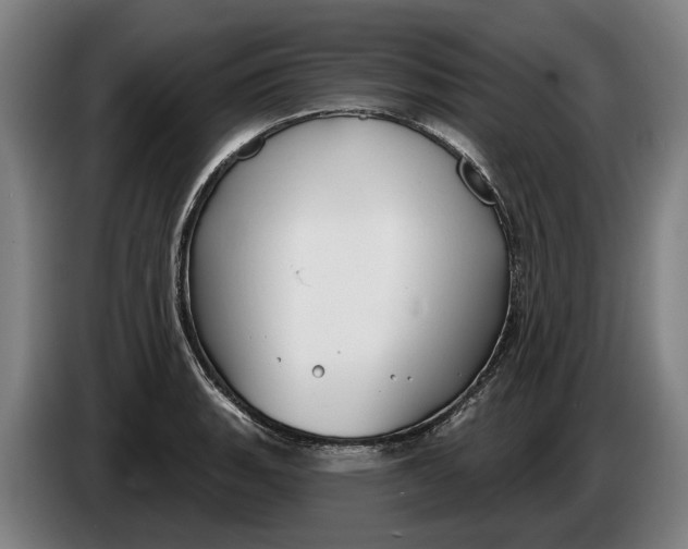 X0000086321135200704202017