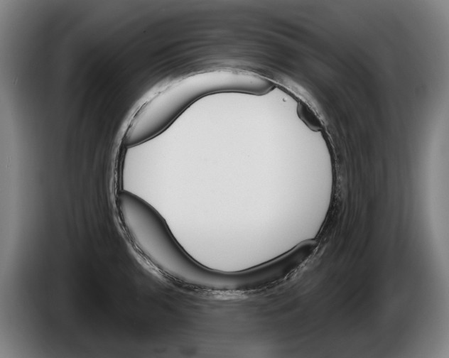 X0000086321136200704202017