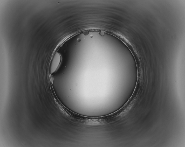 X0000086321137200704202017