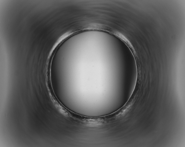 X0000086321138200704202017