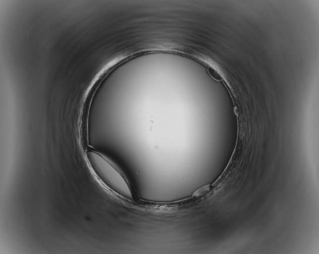 X0000086321139200704202017