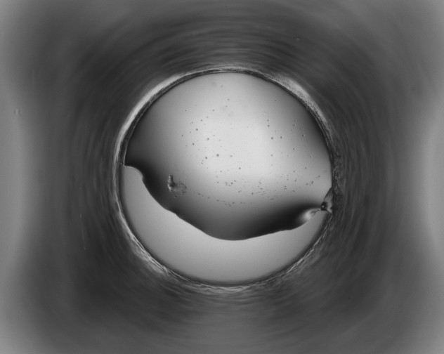 X0000086321140200704202017