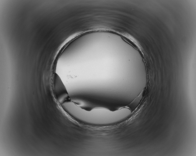 X0000086321142200704202017