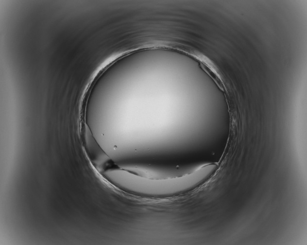 X0000086321143200704202017