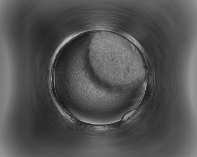 X0000086321144200704202017