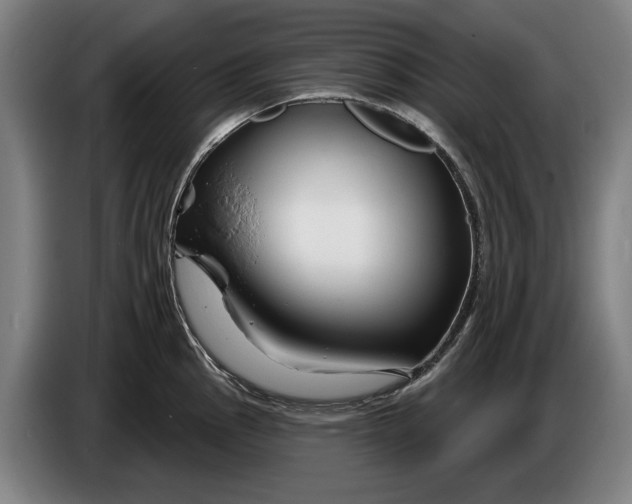 X0000086321145200704202017