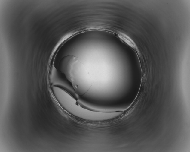 X0000086321146200704202017