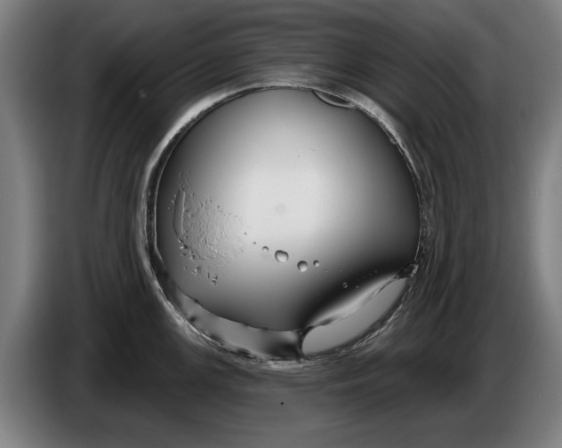 X0000086321147200704202017