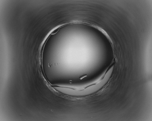 X0000086321148200704202017