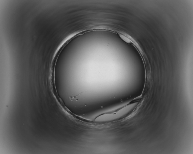 X0000086321149200704202017