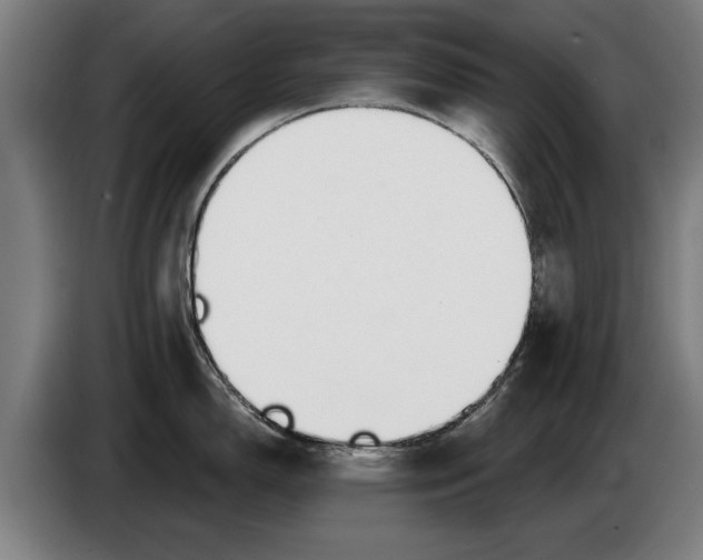 X0000086321150200704202017