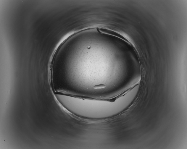 X0000086321151200704202017