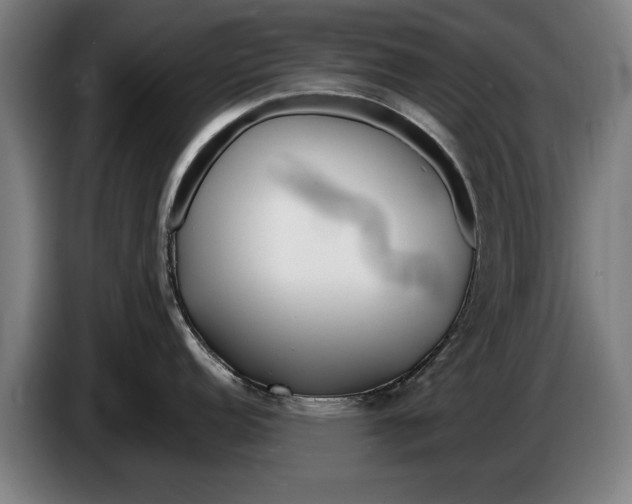 X0000086321152200704202017