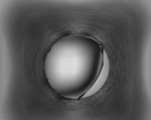 X0000086321153200704202016